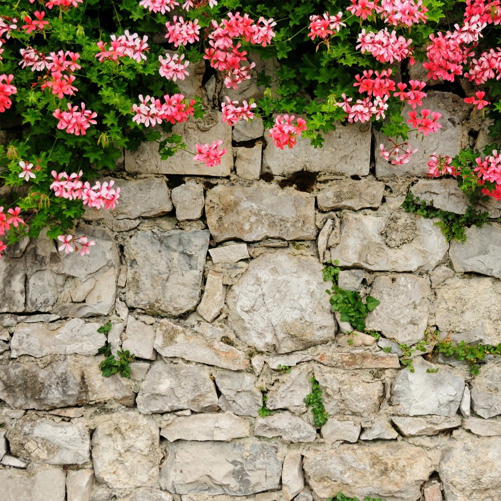 Flower Wall Photography Backdrop Vibrant Pink Stone Wall Backdrop UK BRP12-565