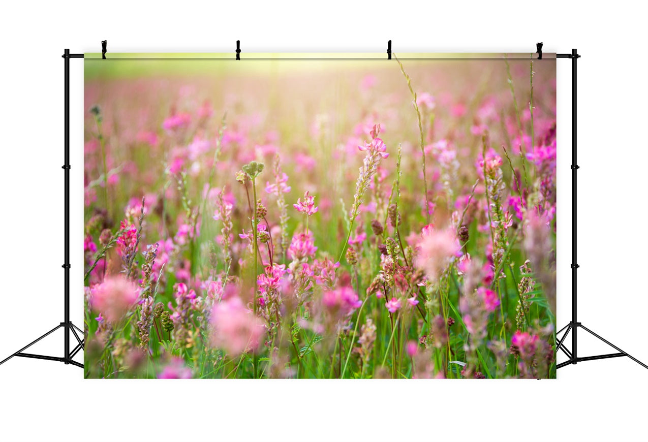 Backdrop Floral Romantic Pink Blossom Meadow Backdrop UK BRP12-569