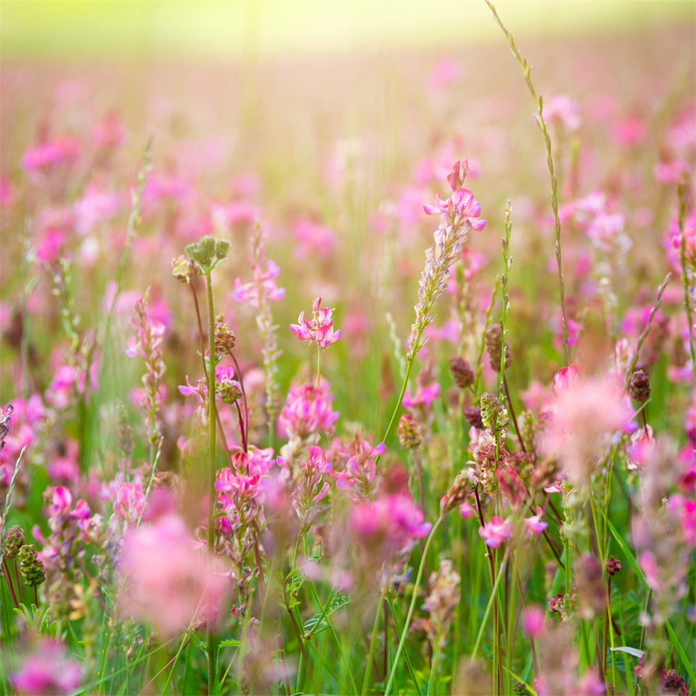 Backdrop Floral Romantic Pink Blossom Meadow Backdrop UK BRP12-569