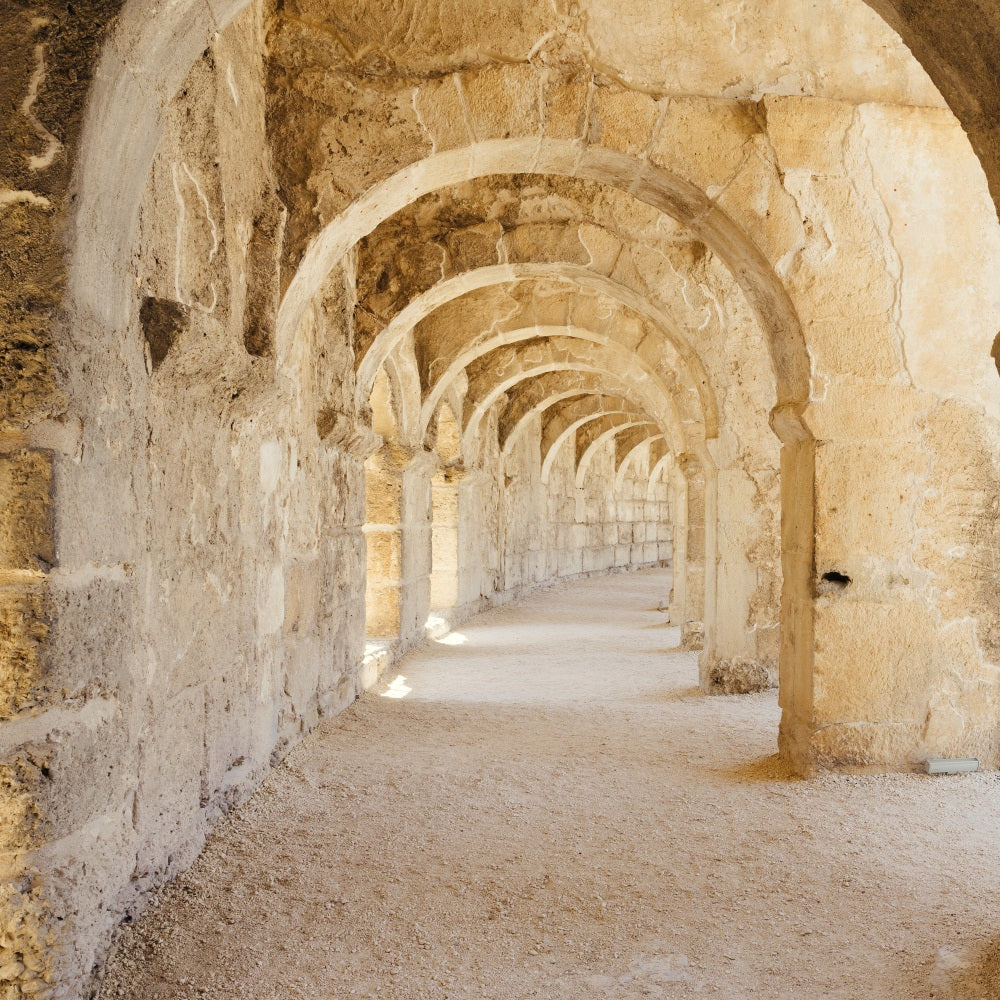 Architecture Backdrop Rustic Romanesque Stone Hallway Backdrop UK BRP12-648