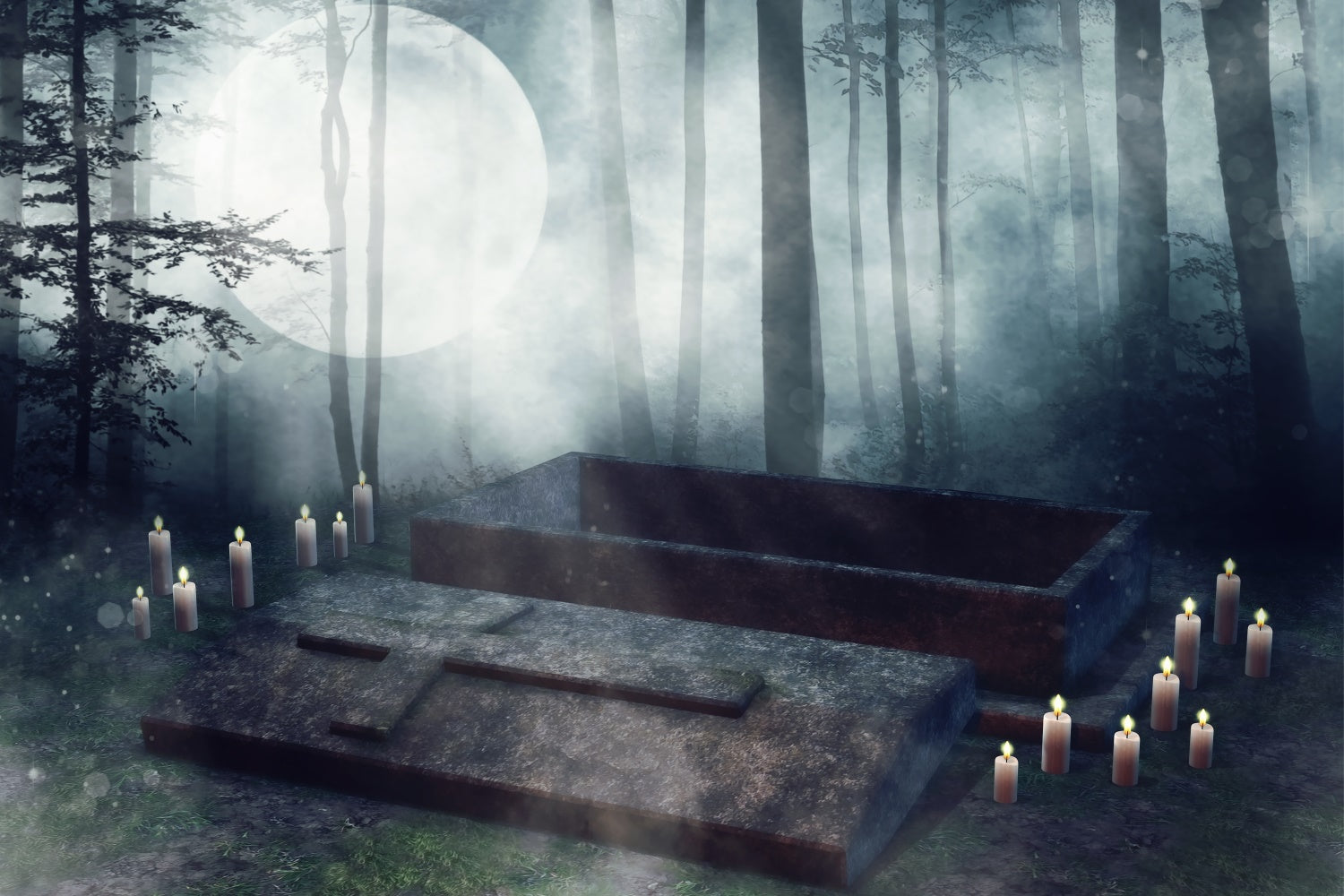 Coffin Backdrop Moonlit Coffin Open Forest Shadows Backdrop UK BRP12-694