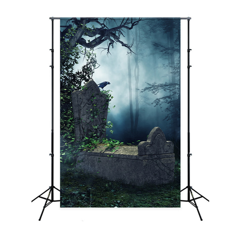 Coffin Backdrop Eerie Forest Raven Tombstone Backdrop UK BRP12-701