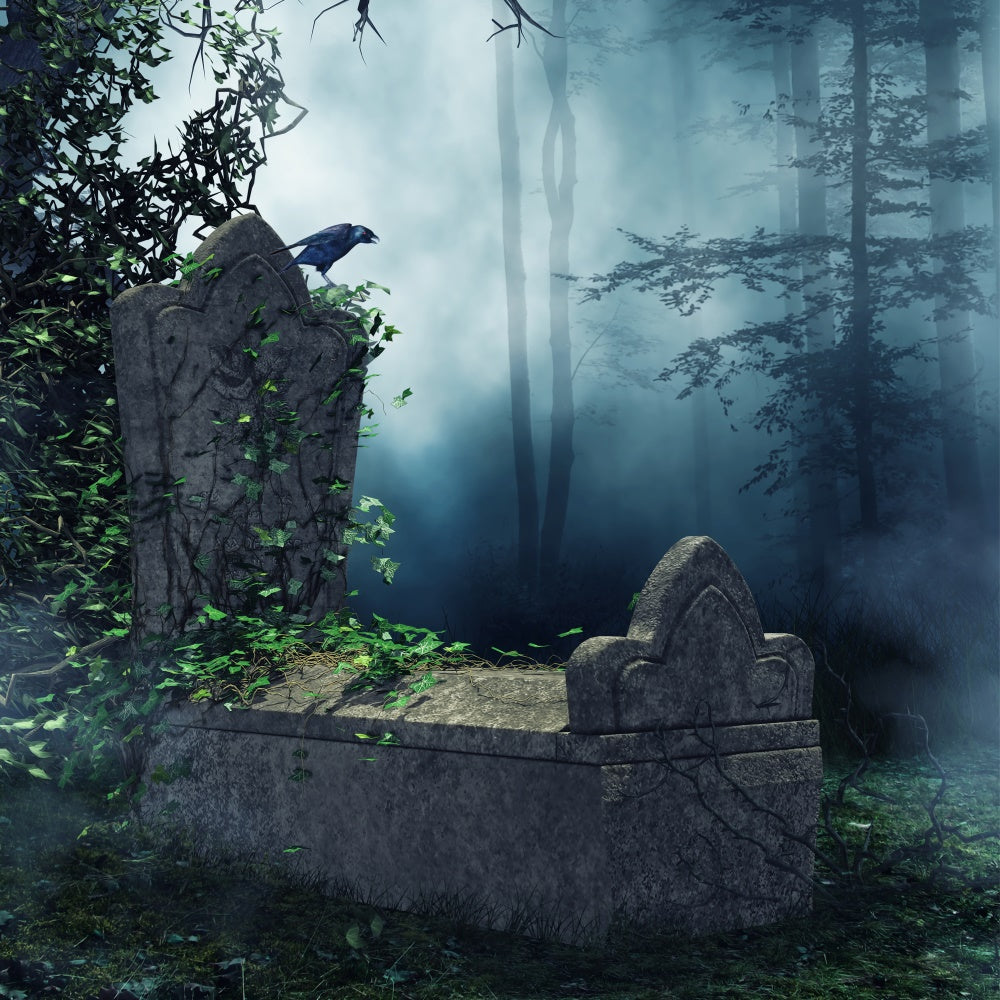 Coffin Backdrop Eerie Forest Raven Tombstone Backdrop UK BRP12-701