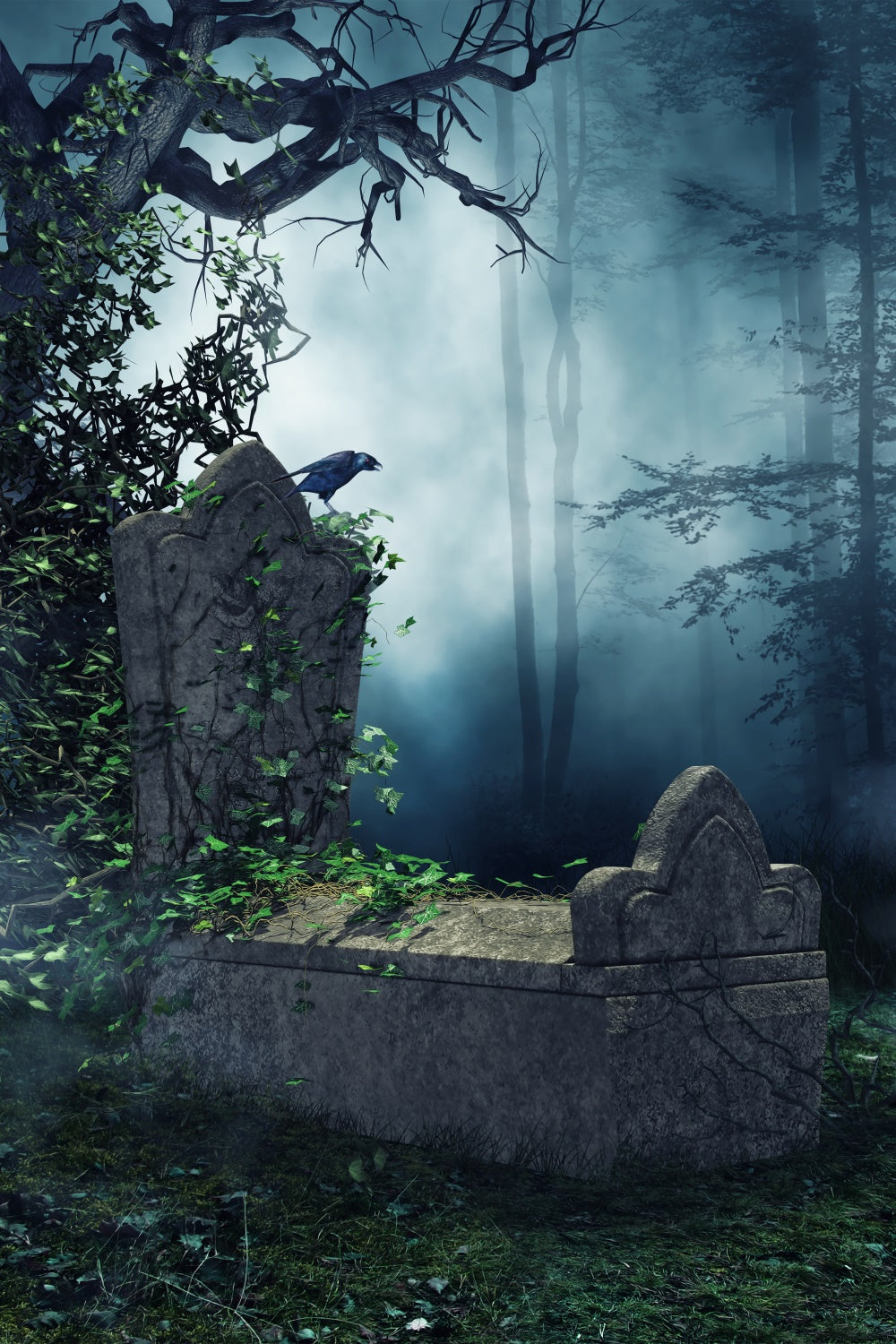 Coffin Backdrop Eerie Forest Raven Tombstone Backdrop UK BRP12-701