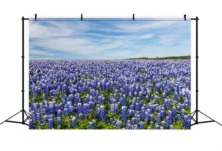 Floral Photography Backdrop Wildflower Meadow Blue Sky Backdrop UK BRP2-94