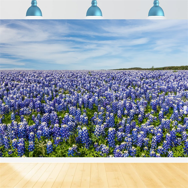 Floral Photography Backdrop Wildflower Meadow Blue Sky Backdrop UK BRP2-94