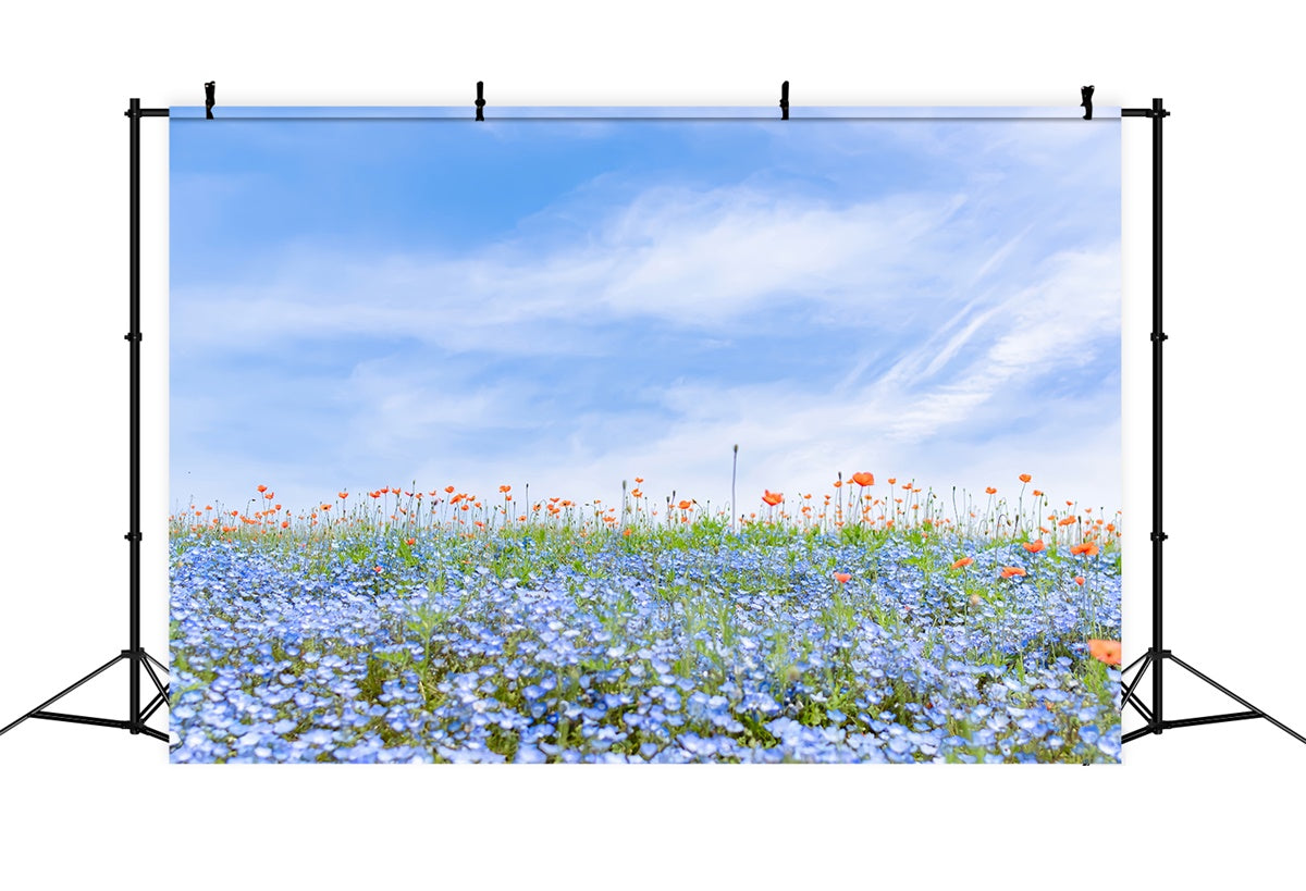 Floral Backdrops For Photography Blue Wildflower Field Sky Backdrop UK BRP2-95