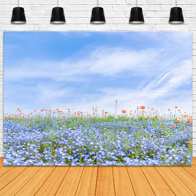 Floral Backdrops For Photography Blue Wildflower Field Sky Backdrop UK BRP2-95