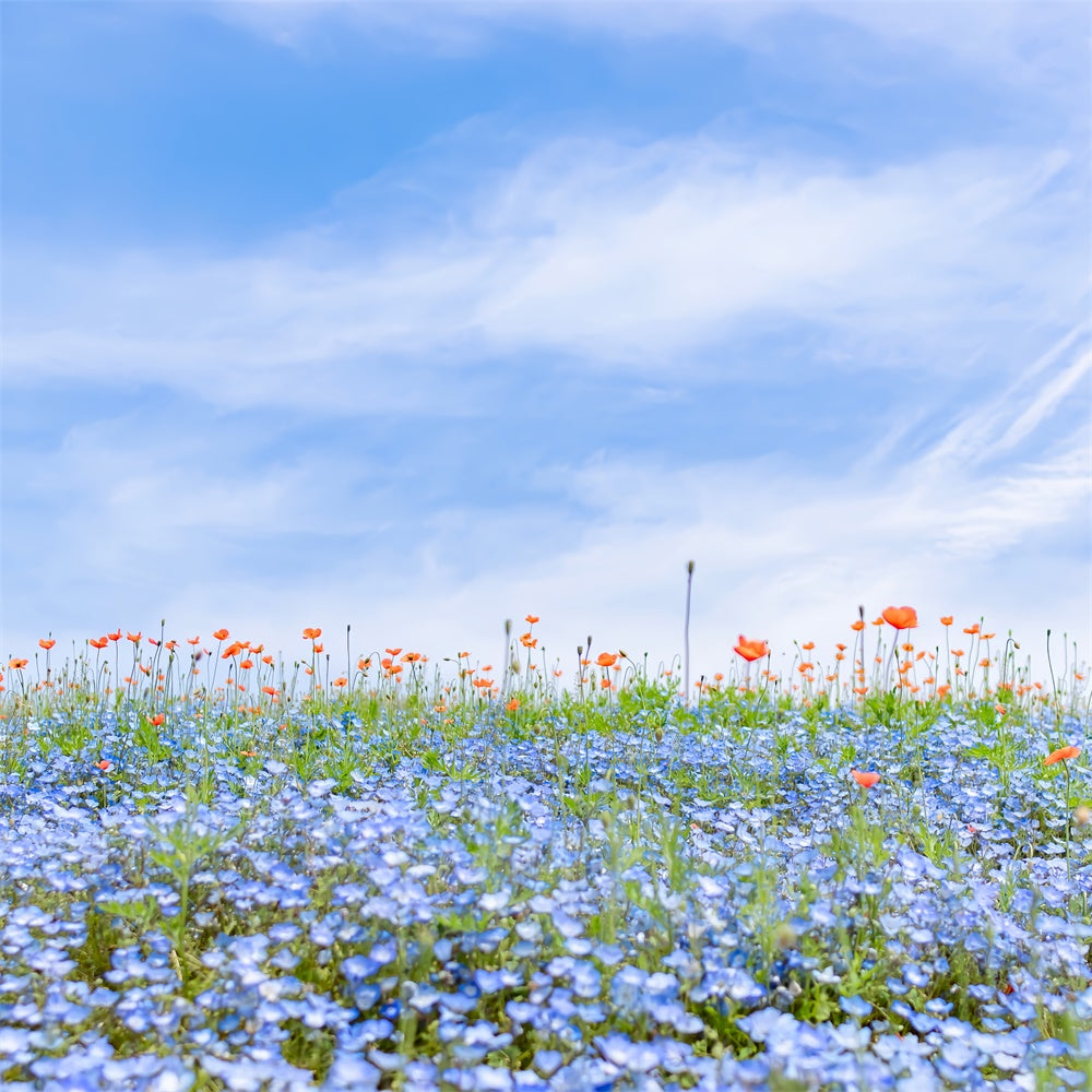 Floral Backdrops For Photography Blue Wildflower Field Sky Backdrop UK BRP2-95