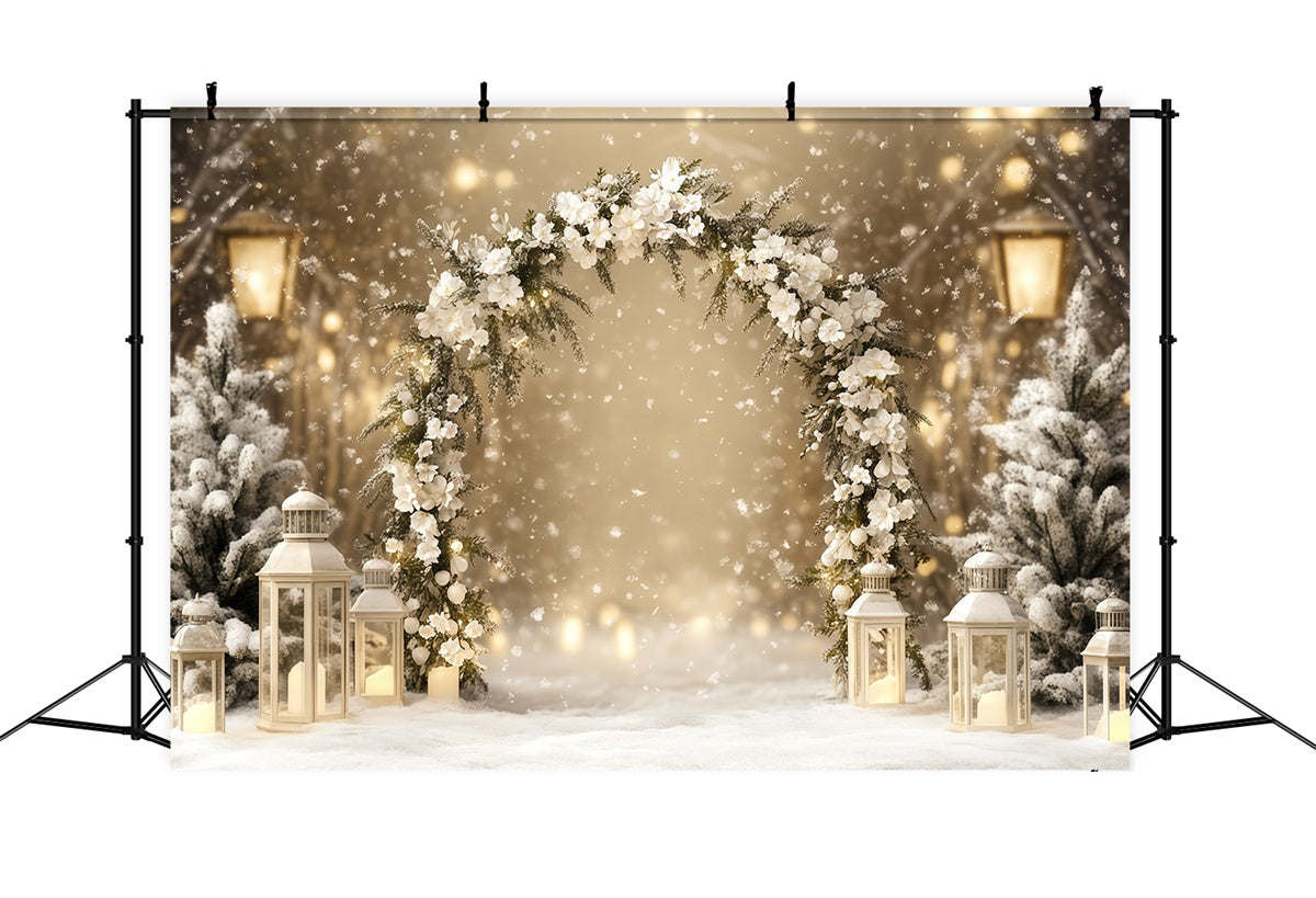 Winter Photo Backdrop Elegance Lantern Path Backdrop UK BRP57-353