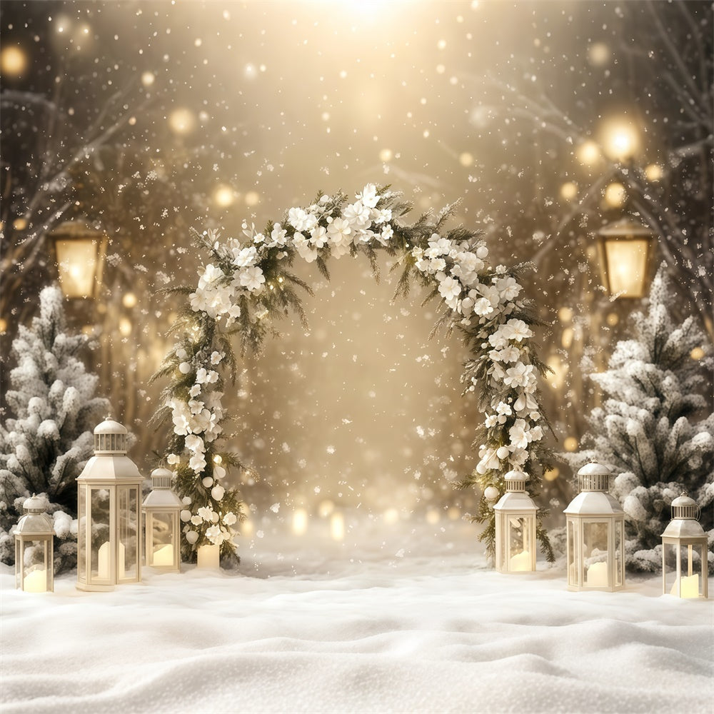 Winter Photo Backdrop Elegance Lantern Path Backdrop UK BRP57-353