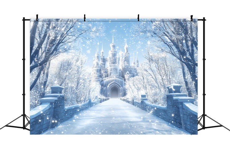 Winter Backdrop Morning Light Winter Castle Backdrop UK BRP57-365