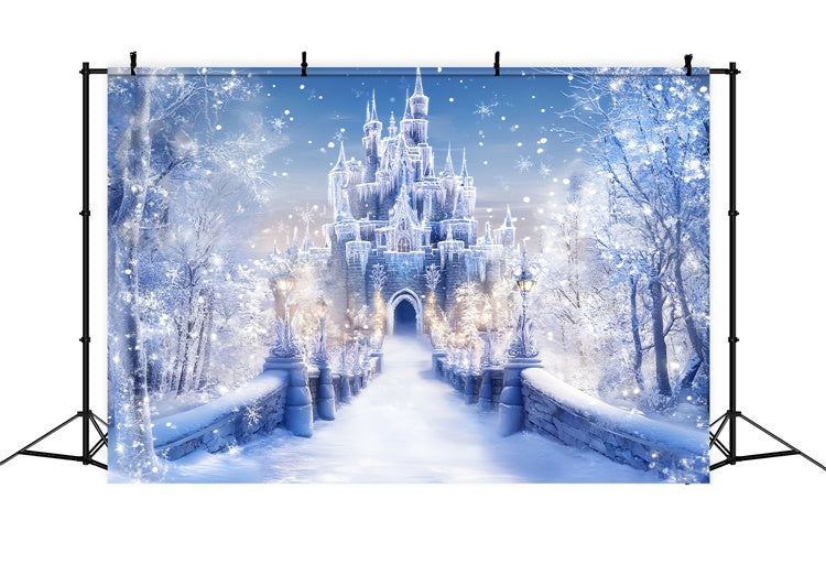 Winter Castle Backdrop Frost Castle Entrance Backdrop UK BRP57-366