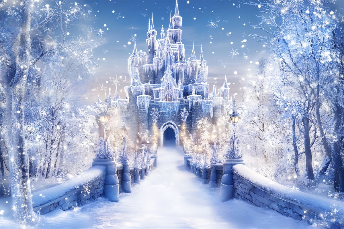 Winter Castle Backdrop Frost Castle Entrance Backdrop UK BRP57-366