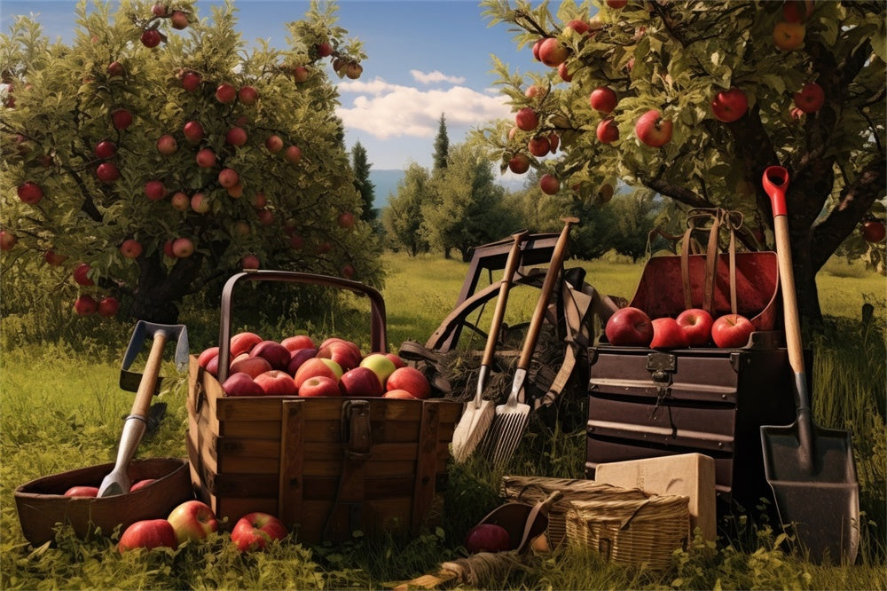 Autumn Apple Tree Harvest Photography Backdrop UK BRP7-104