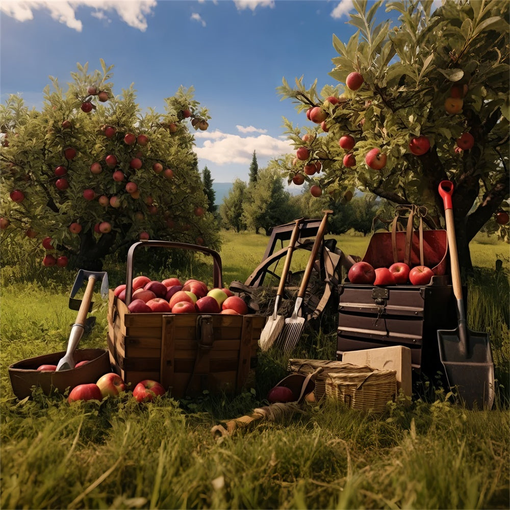 Autumn Apple Tree Harvest Photography Backdrop UK BRP7-104