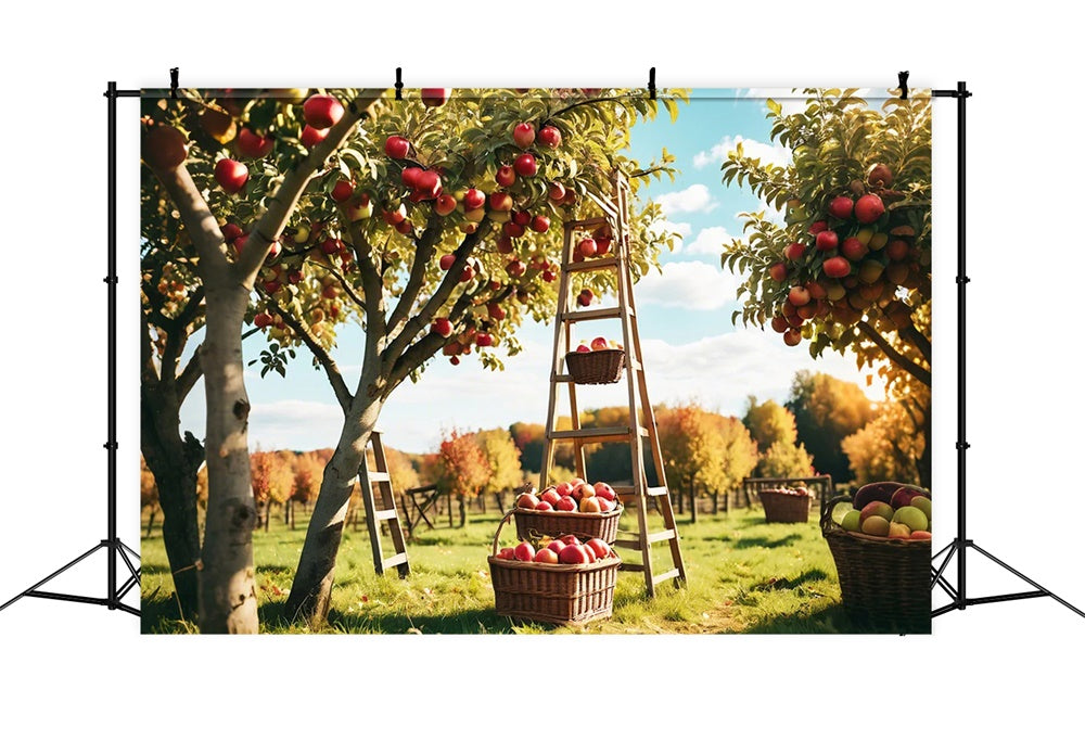 Autumn Outdoor Forest Apple Orchard Backdrop UK BRP7-111