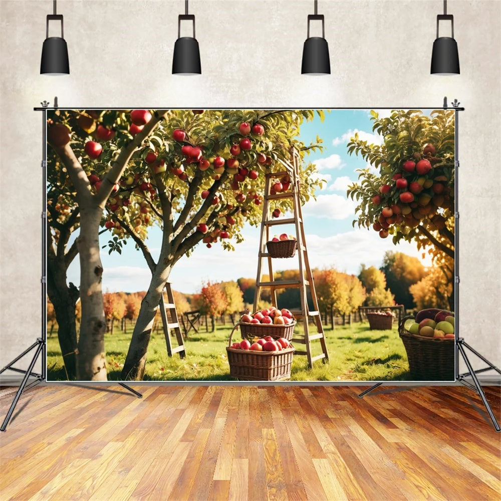 Autumn Outdoor Forest Apple Orchard Backdrop UK BRP7-111