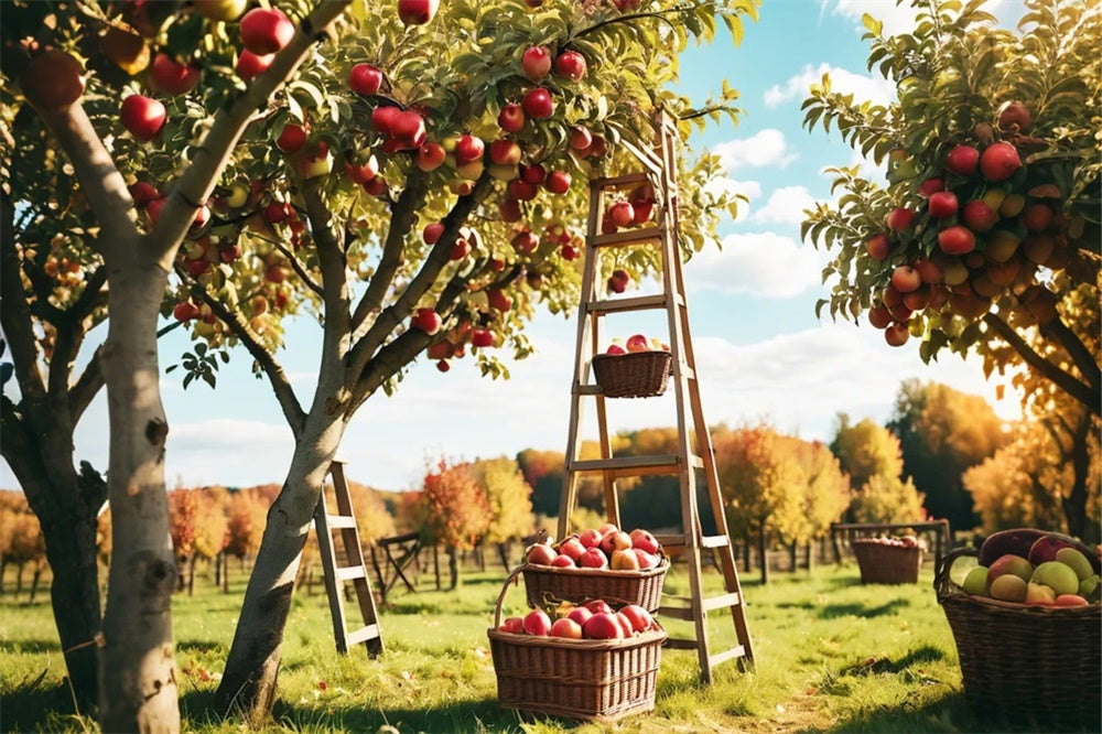 Autumn Outdoor Forest Apple Orchard Backdrop UK BRP7-111