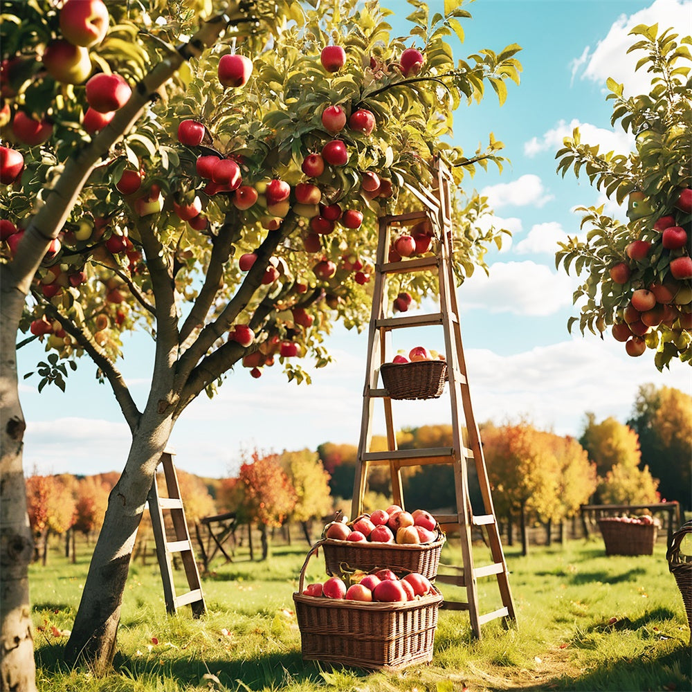 Autumn Outdoor Forest Apple Orchard Backdrop UK BRP7-111