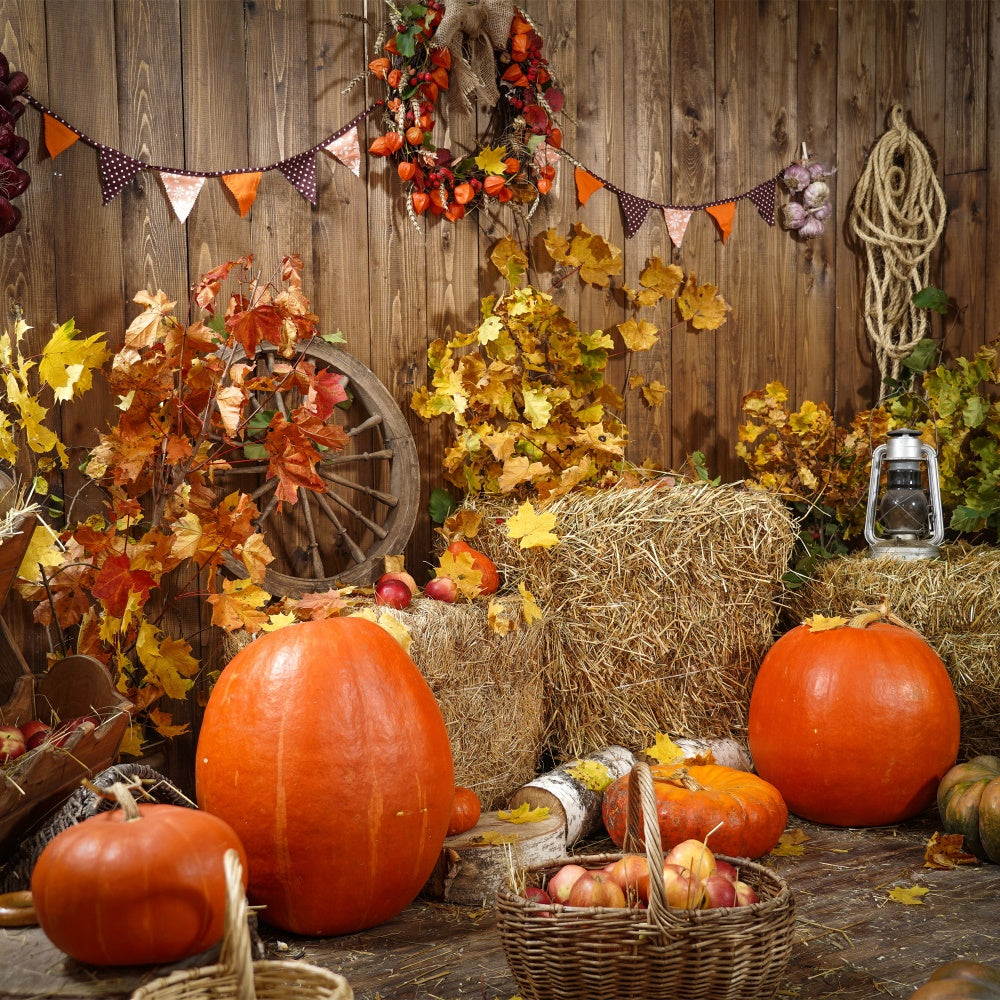 Autumn Harvest with Pumpkins  Backdrop UK BRP7-117