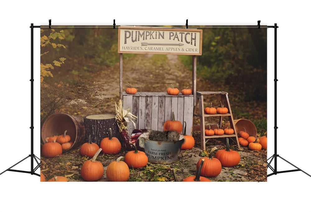 Pumpkin Stand Autumn Photography Backdrop UK BRP7-120