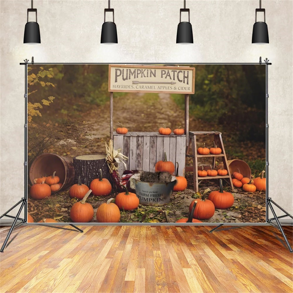 Pumpkin Stand Autumn Photography Backdrop UK BRP7-120