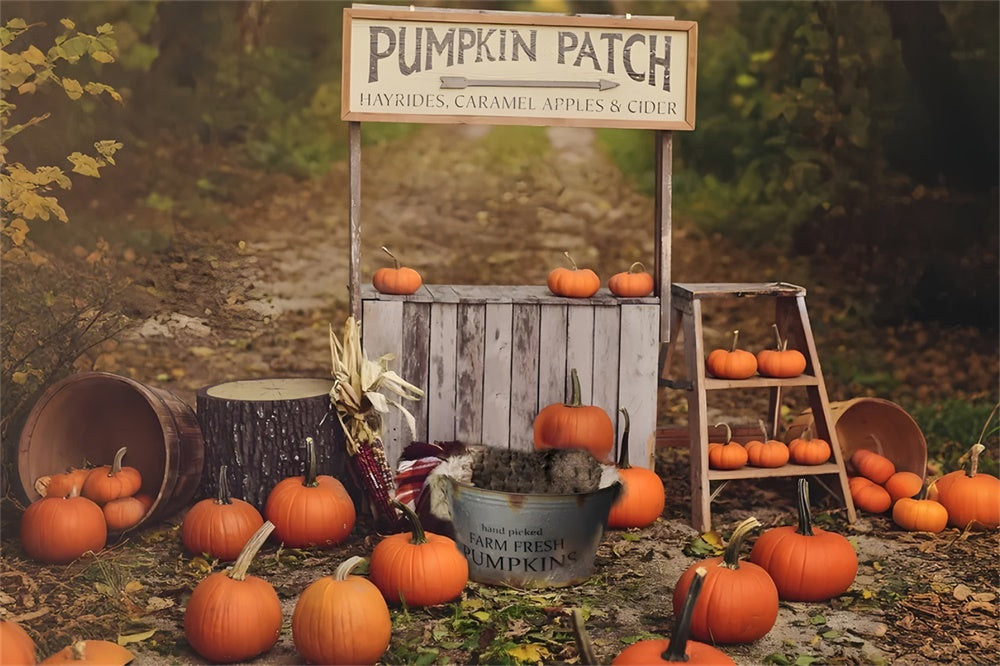 Pumpkin Stand Autumn Photography Backdrop UK BRP7-120