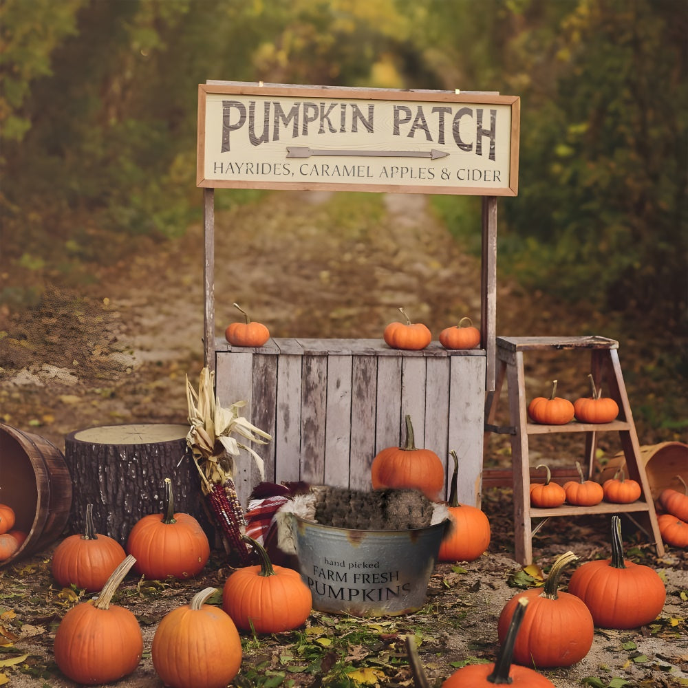 Pumpkin Stand Autumn Photography Backdrop UK BRP7-120