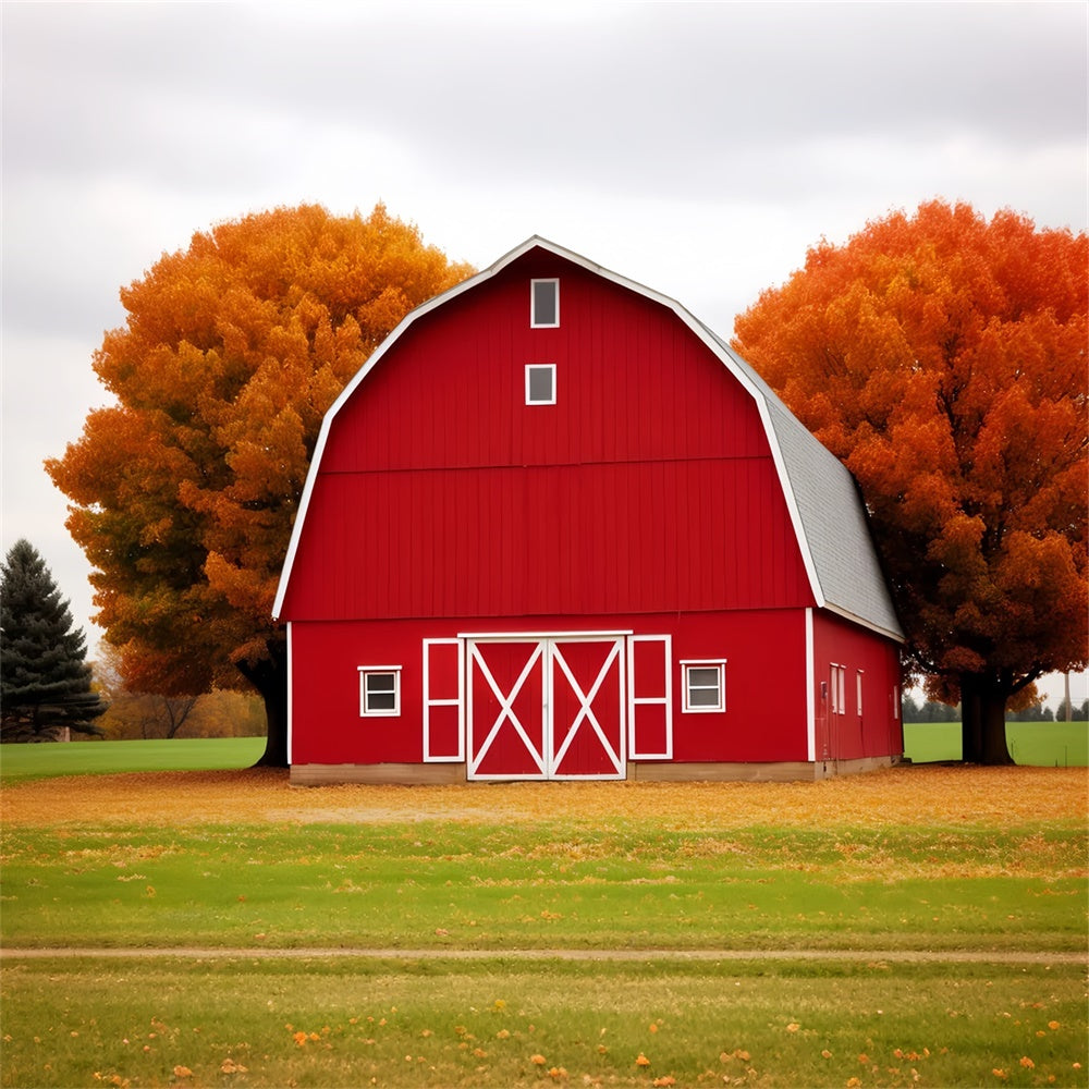 Red House Maple Leaf Meadow Autumn Backdrop UK BRP7-128