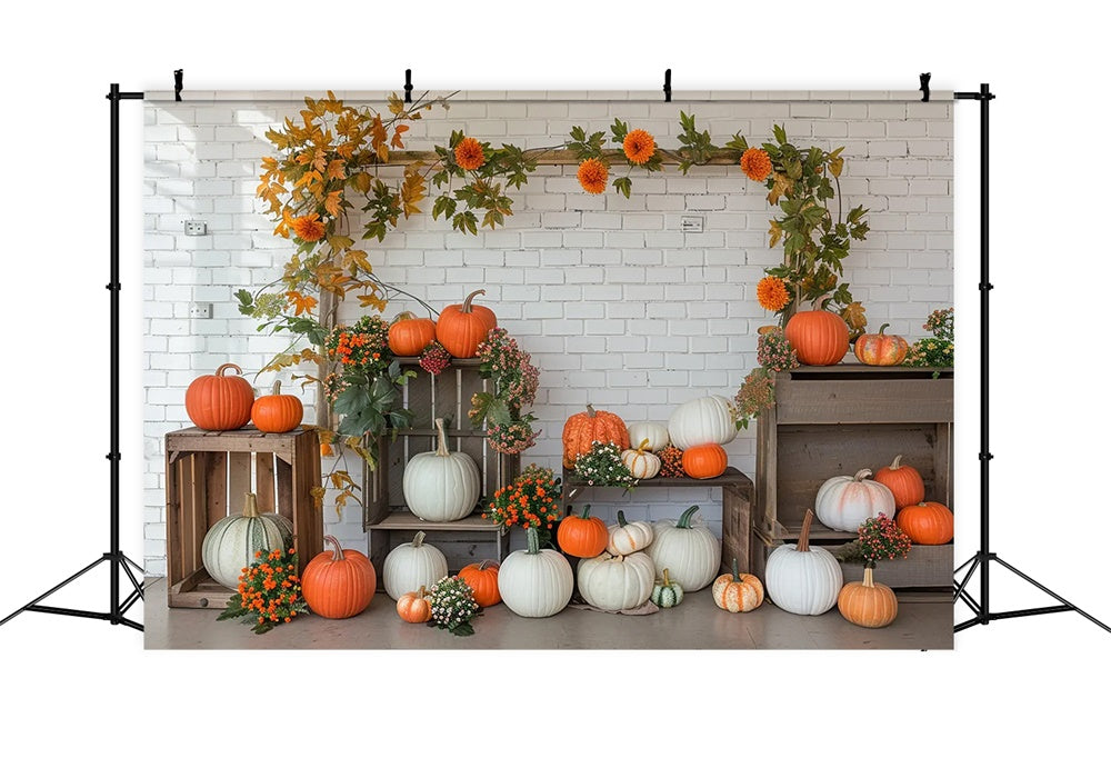 Autumn Pumpkin Shelf White Wall Backdrop UK BRP7-141