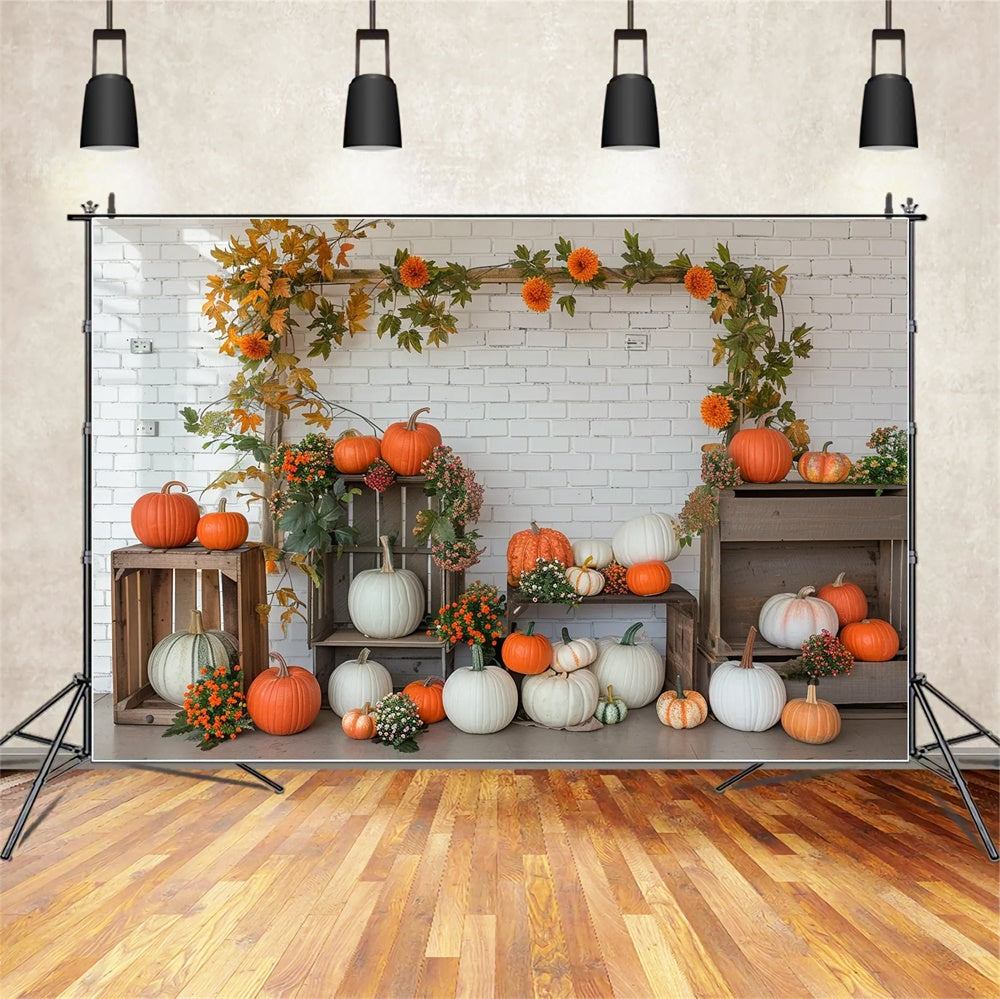 Autumn Pumpkin Shelf White Wall Backdrop UK BRP7-141