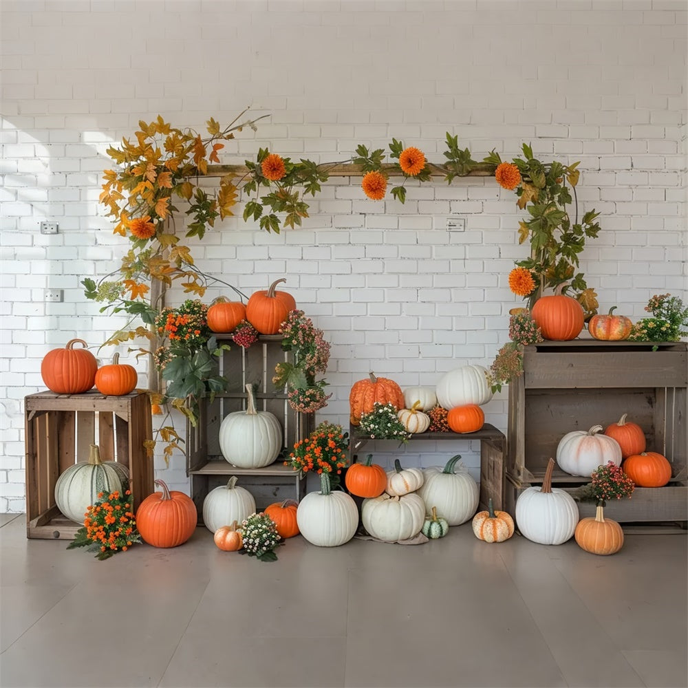 Autumn Pumpkin Shelf White Wall Backdrop UK BRP7-141