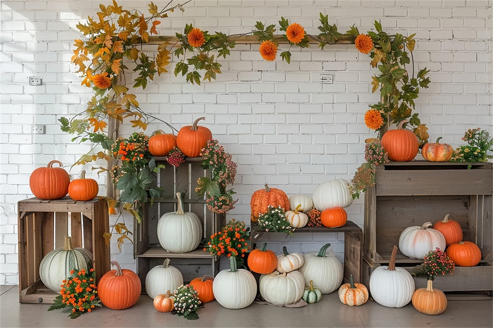 Autumn Pumpkin Shelf White Wall Backdrop UK BRP7-141