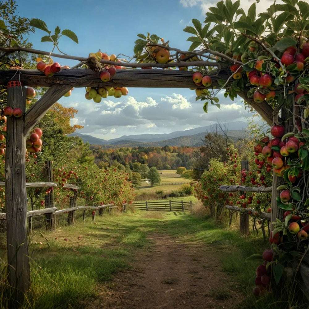 Autumn Apple Farm Backdrop UK for Photography BRP7-143