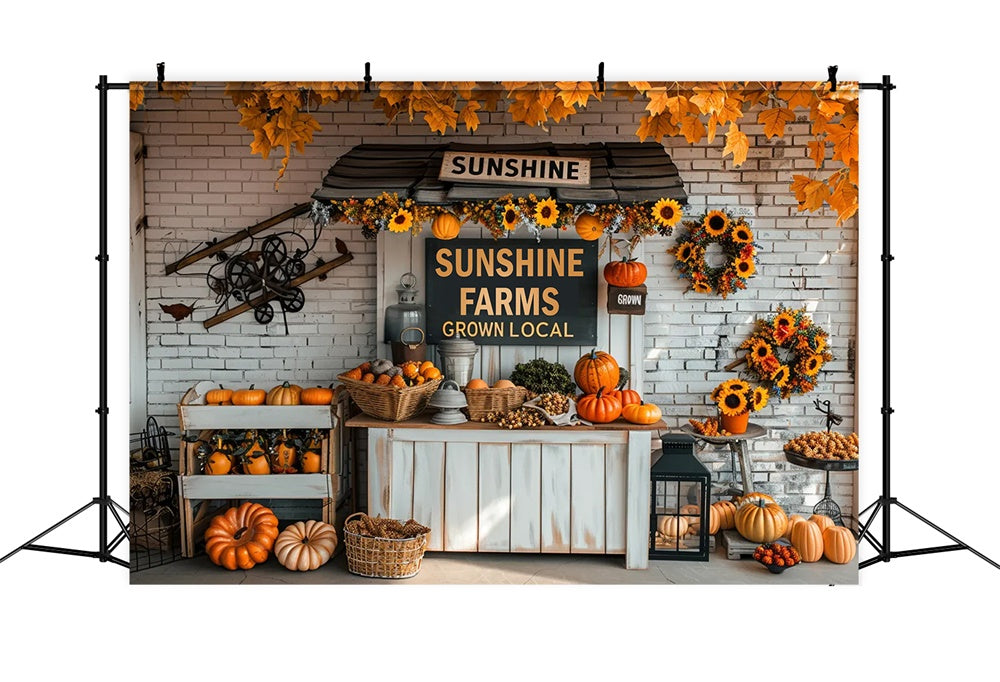 Autumn Small Pumpkin Market Backdrop UK BRP7-158