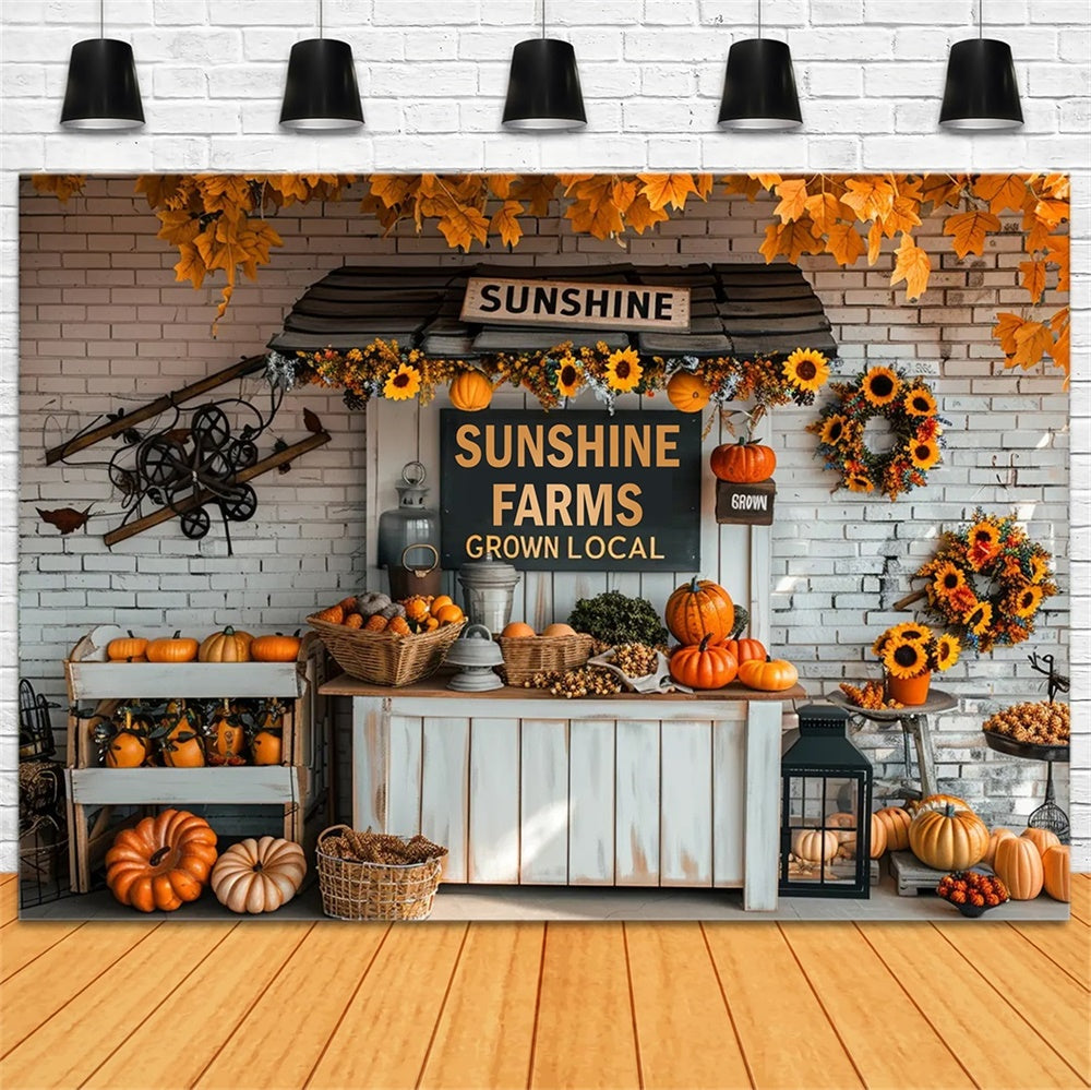 Autumn Small Pumpkin Market Backdrop UK BRP7-158