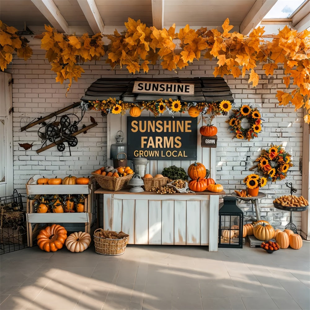 Autumn Small Pumpkin Market Backdrop UK BRP7-158