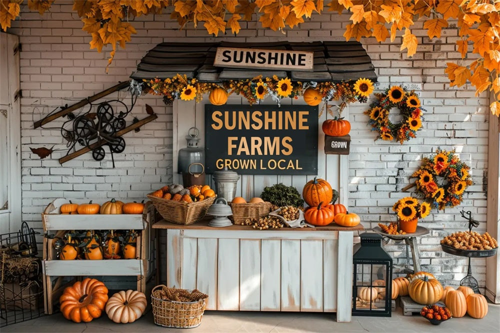 Autumn Small Pumpkin Market Backdrop UK BRP7-158