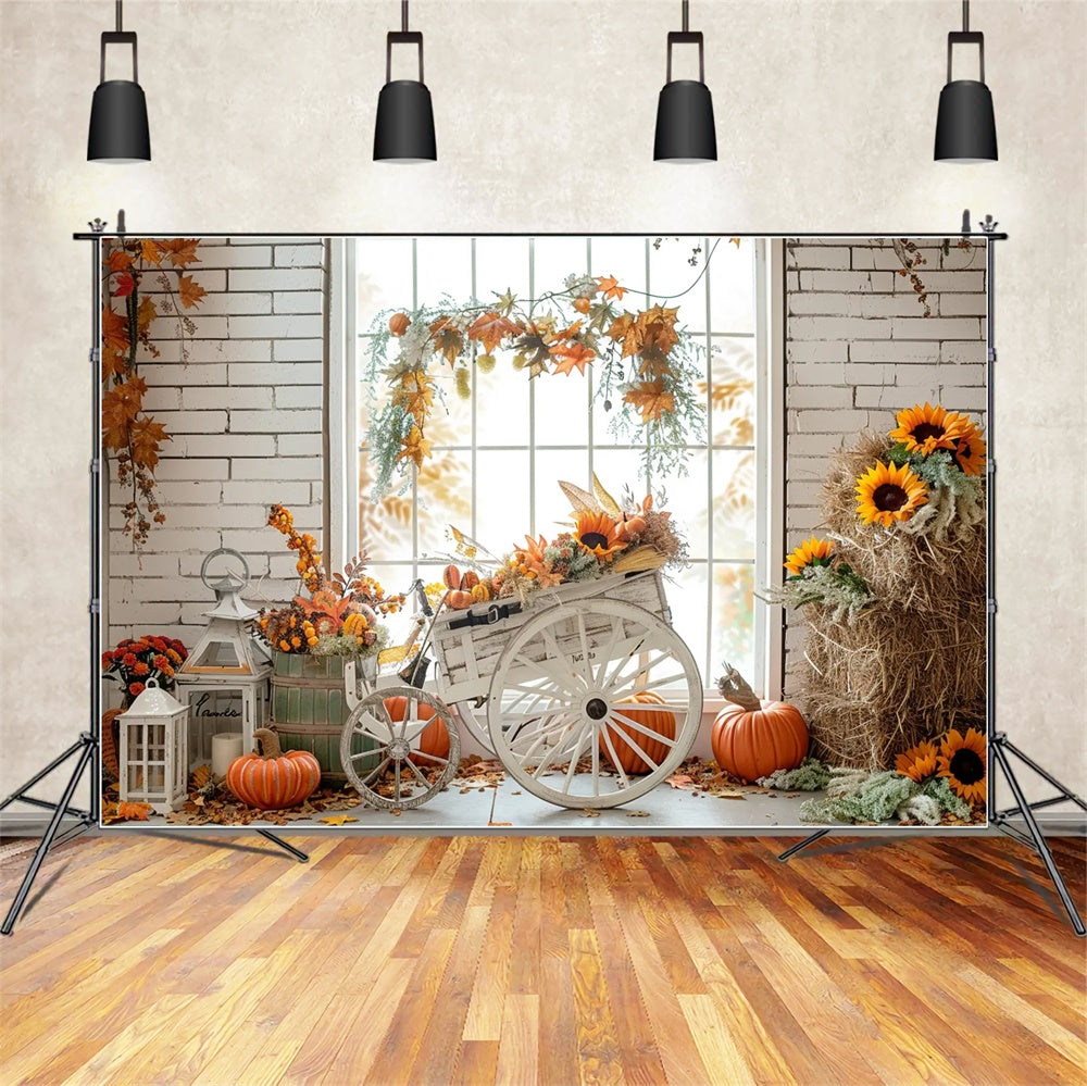 Autumn Straw Pumpkin Maple Leaf Tricycle Backdrop UK BRP7-163