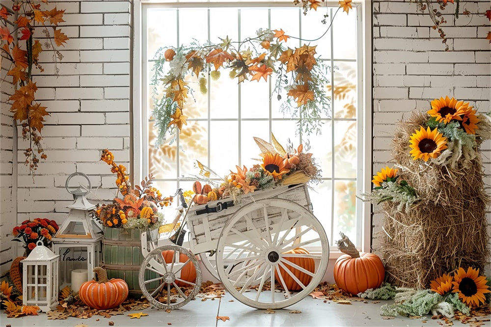 Autumn Straw Pumpkin Maple Leaf Tricycle Backdrop UK BRP7-163