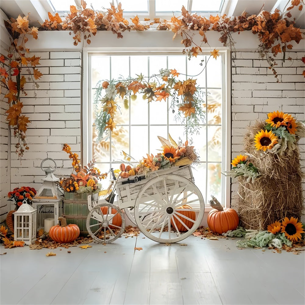 Autumn Straw Pumpkin Maple Leaf Tricycle Backdrop UK BRP7-163