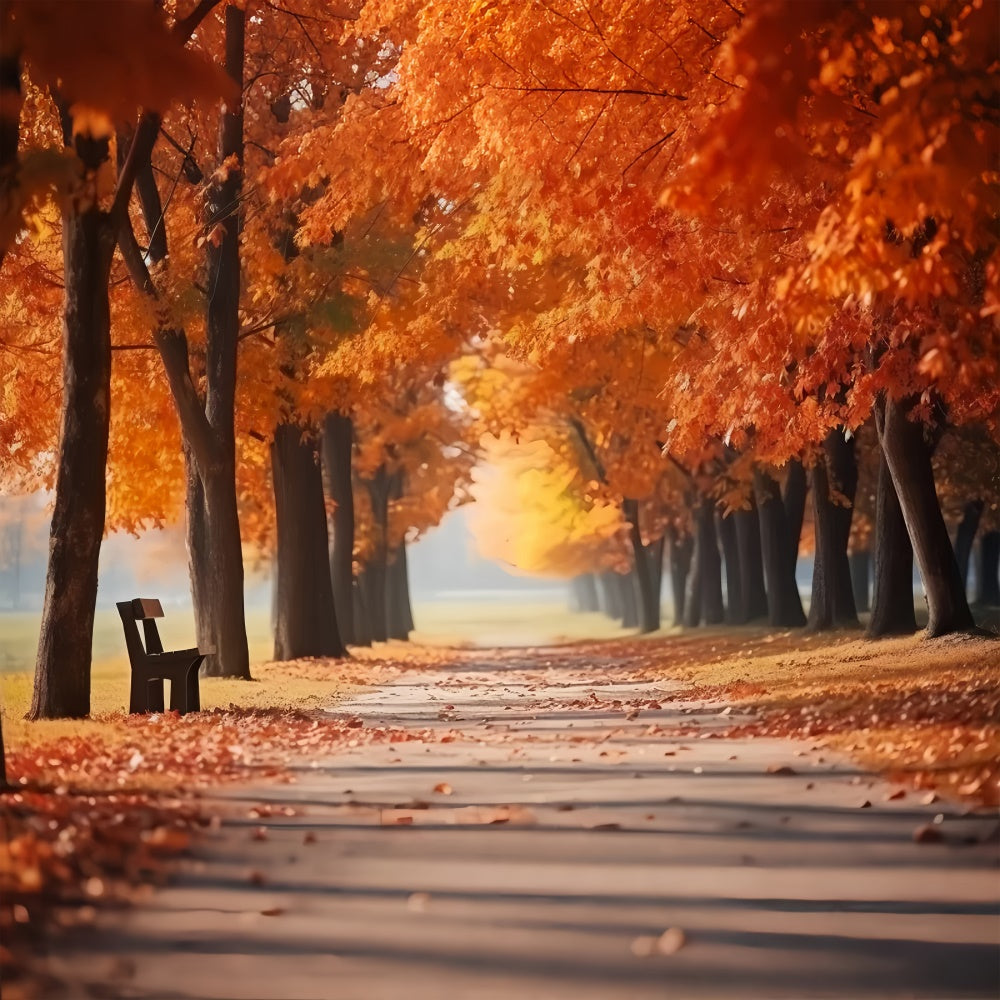 Autumn Golden Leaves Park Path Backdrop UK BRP7-194