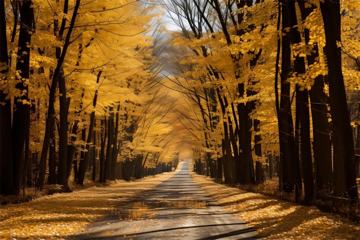 Golden Autumn Path Backdrop for Photography UK BRP7-202