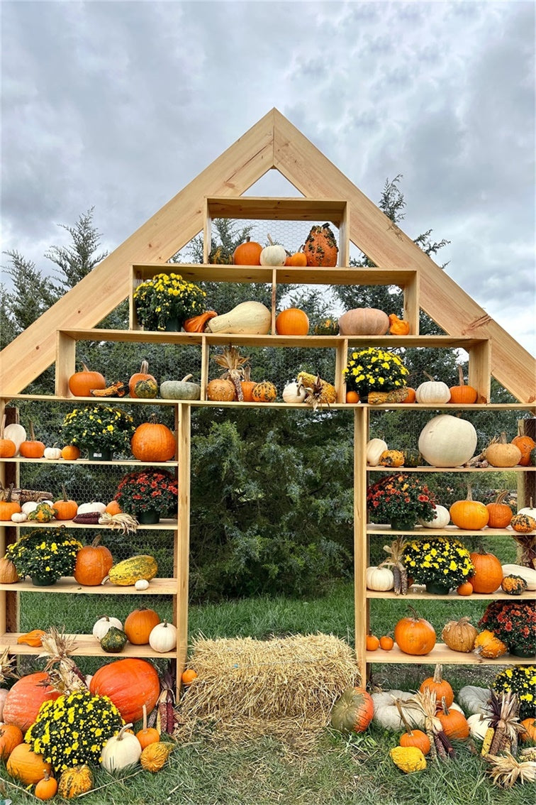 Rustic Pumpkin Display Autumn Backdrop UK BRP7-208