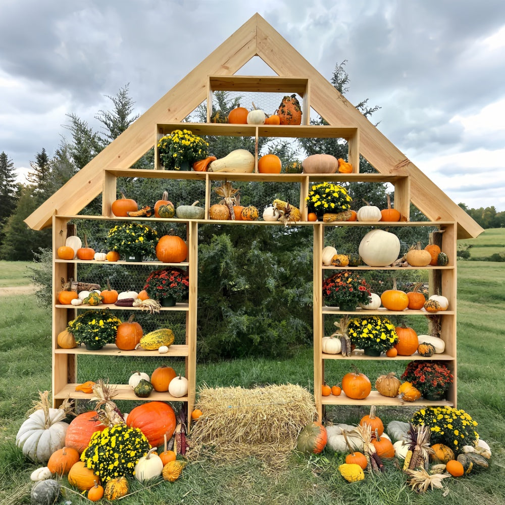 Rustic Pumpkin Display Autumn Backdrop UK BRP7-208