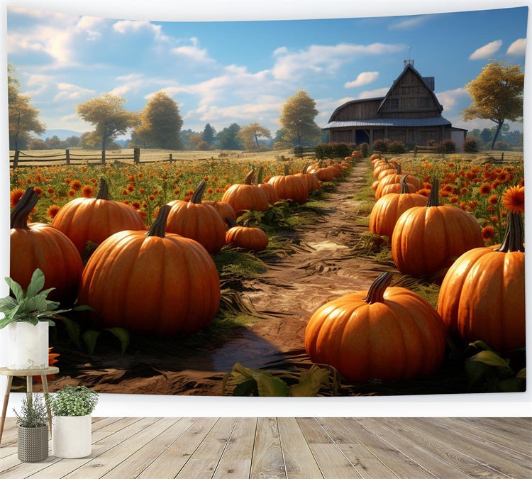 Pumpkin Farm Autumn Backdrop UK for Photography BRP7-70