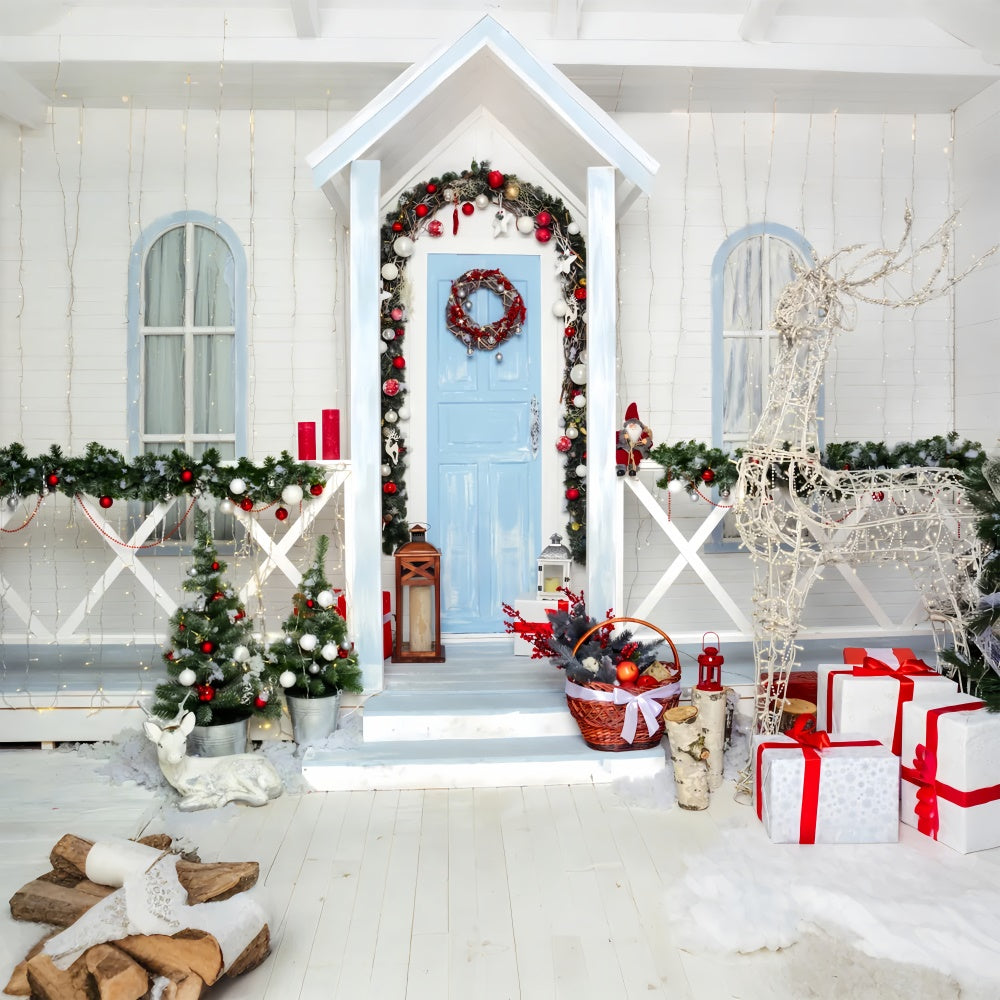 Snowy Christmas Porch with Reindeer Lights Backdrop UK BRP8-137