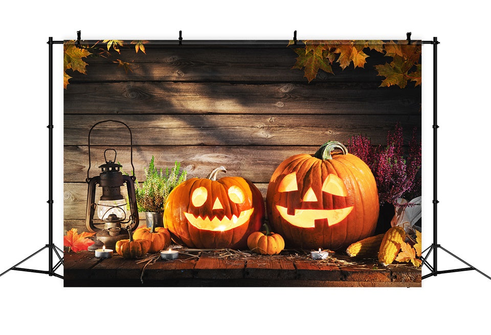 Cozy Pumpkin Harvest Display Halloween Backdrop UK BRP8-227