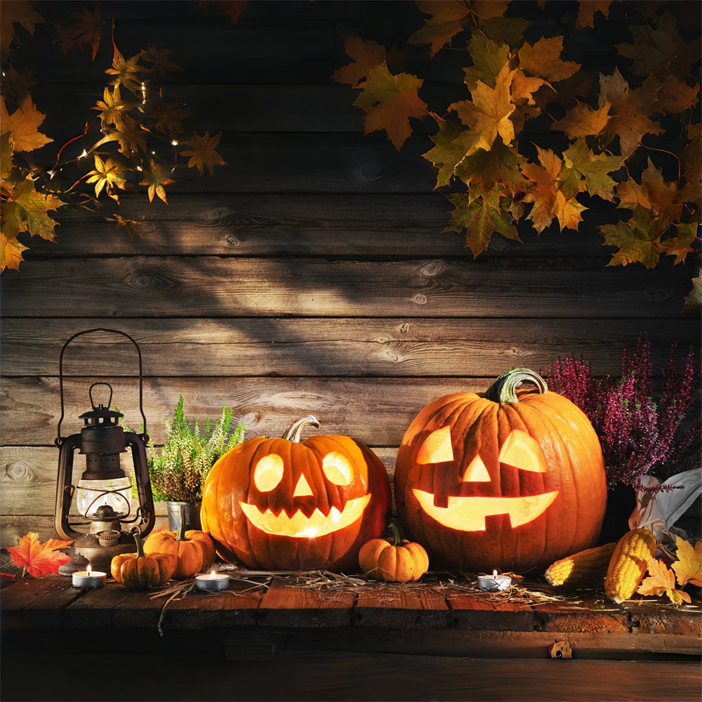 Cozy Pumpkin Harvest Display Halloween Backdrop UK BRP8-227